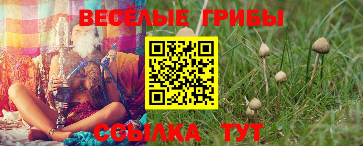 Псилоцибиновые грибы Psilocybine cubensis Владивосток