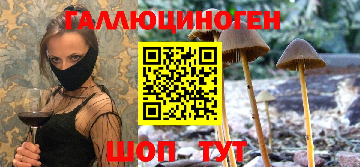 Псилоцибиновые грибы мицелий  Вход с VPN  Владивосток  Галлюциногенные грибы Psilocybine cubensis 